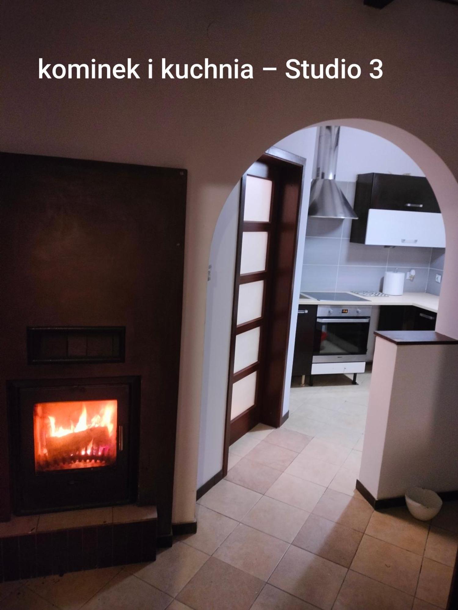 Urocze Studia: Sauna, Kominek i Ekonomiczne Opcje Blisko Warszawy Lomianki Exterior photo